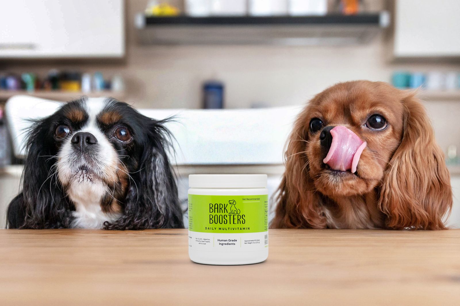 Dog excited for healthy meal