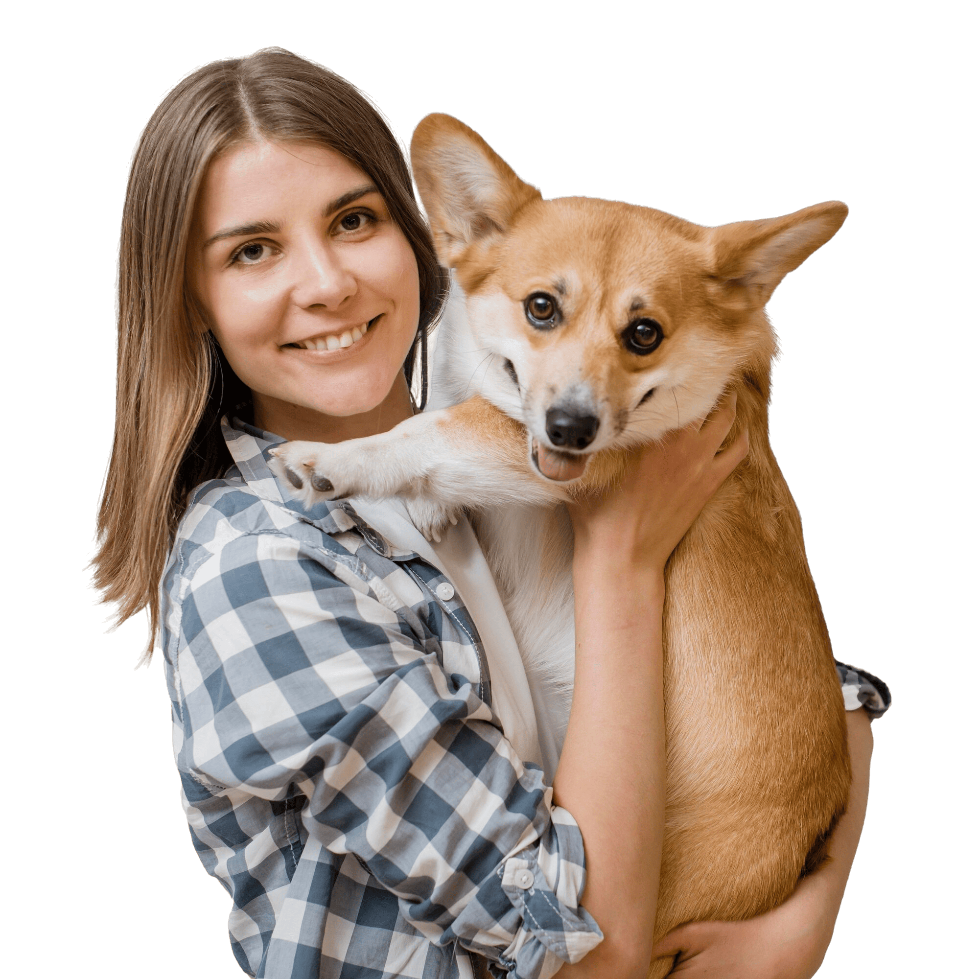 Dog with owner